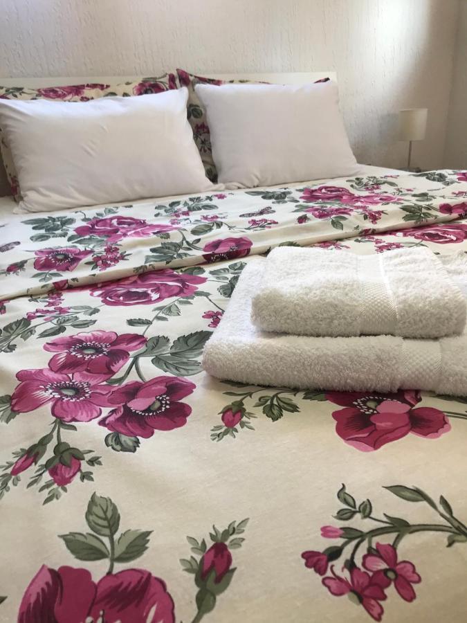 Apartman Studio Milojkovic Golubac Buitenkant foto