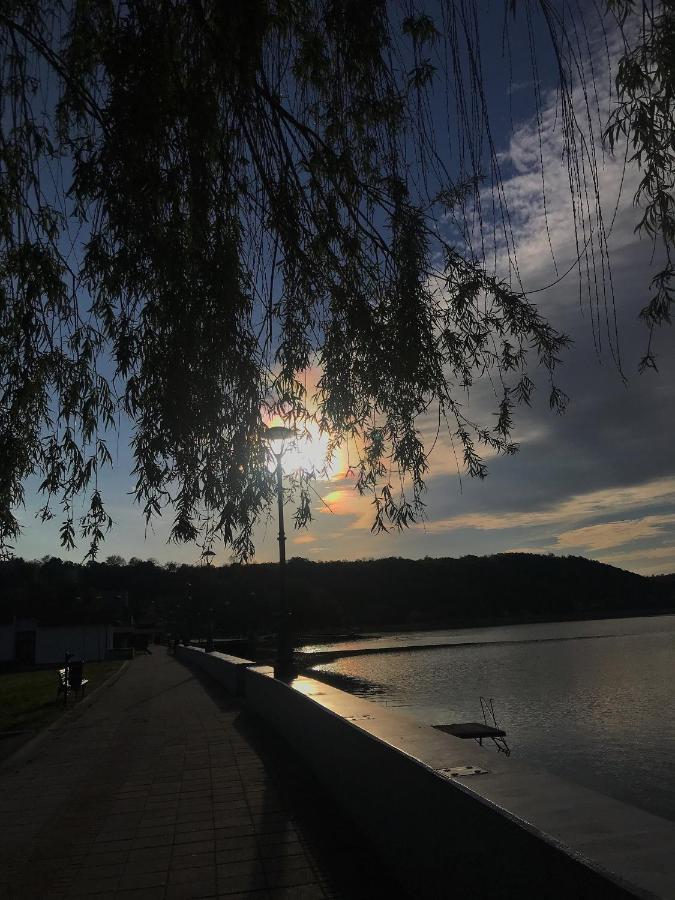 Apartman Studio Milojkovic Golubac Buitenkant foto