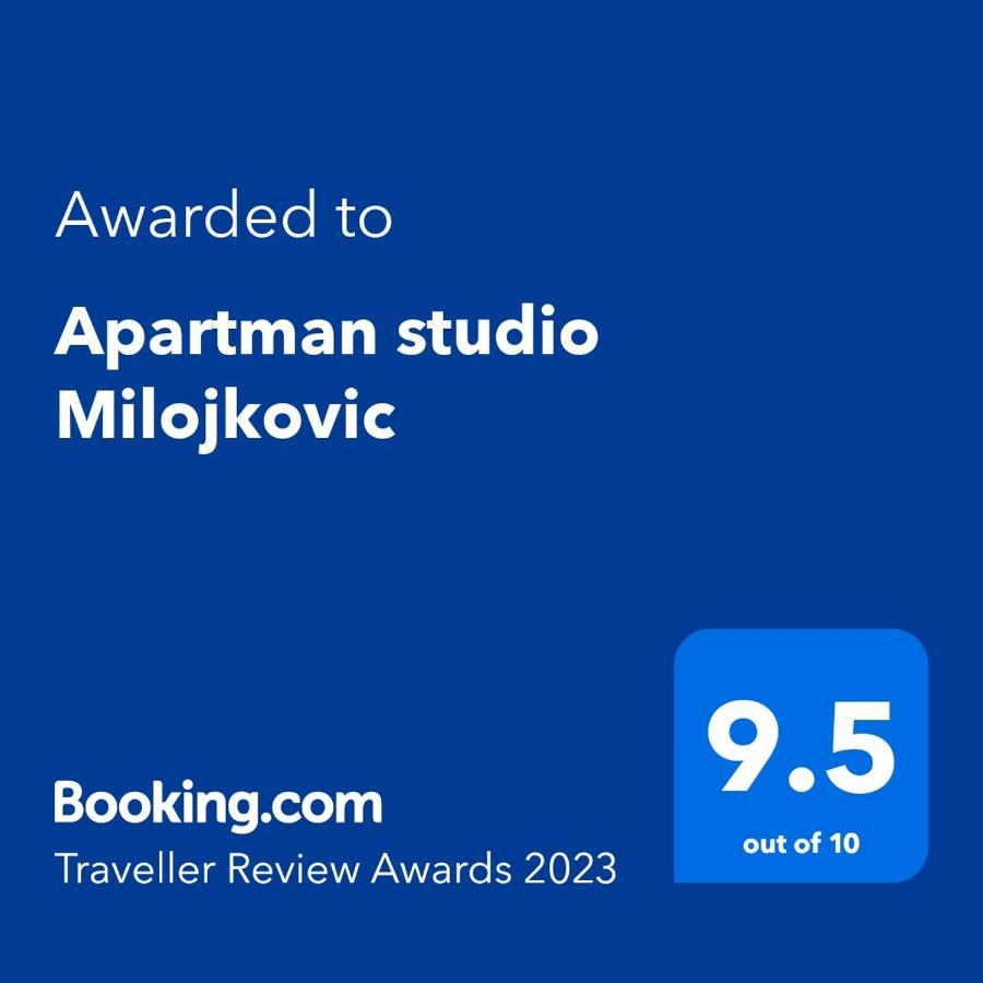 Apartman Studio Milojkovic Golubac Buitenkant foto